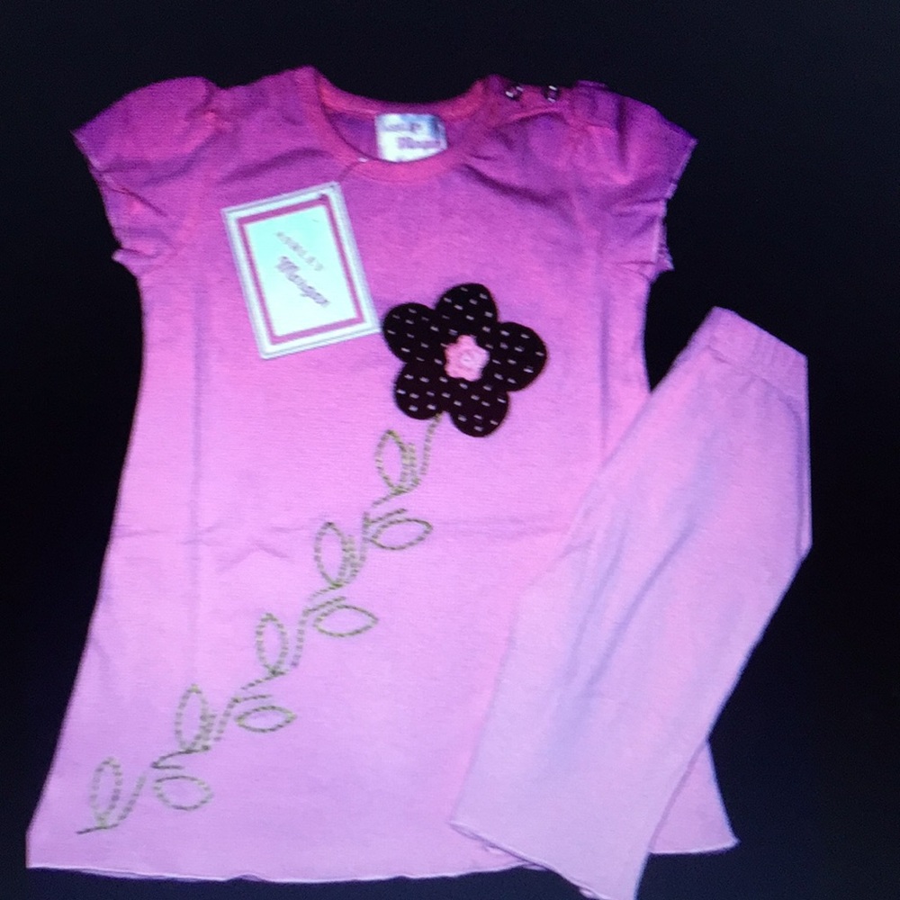 NWT Ashley Morgan flower tunic &capri set. SZ 18M